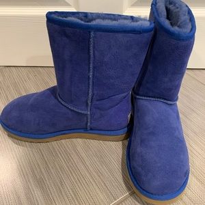 Cropped Blue Uggs